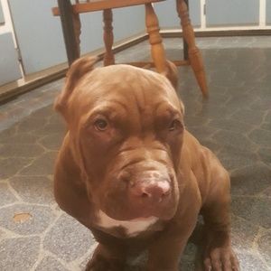 Meet your Posher, Gregory